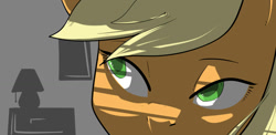 Size: 1024x500 | Tagged: safe, artist:swomswom, applejack, earth pony, pony, close-up, female, mare, solo