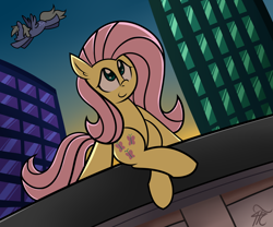 Size: 1500x1250 | Tagged: safe, artist:php92, derpy hooves, fluttershy, pegasus, pony, city, female, mare, sitting, smiling