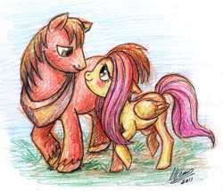 Size: 700x599 | Tagged: safe, artist:demona1, big macintosh, fluttershy, earth pony, pegasus, pony, blushing, fluttermac, male, shipping, stallion, straight, traditional art