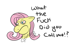 Size: 400x245 | Tagged: safe, artist:lissyannechan, fluttershy, pegasus, pony, female, mare, solo, vulgar