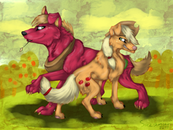 Size: 1066x800 | Tagged: safe, artist:suzamuri, applejack, big macintosh, dog, appledog, dogified, species swap