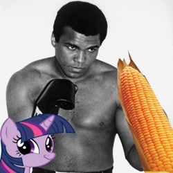 Size: 402x402 | Tagged: safe, derpibooru import, edit, twilight sparkle, ali-corn (corn), corn, muhammad ali, obligatory pony, pun, twiface, visual pun, wrong neighborhood