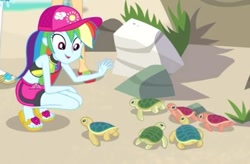 Size: 396x260 | Tagged: safe, derpibooru import, screencap, rainbow dash, aww... baby turtles, equestria girls, equestria girls series, babies, baby, baby turtle, bikini, bikini top, cap, clothes, cropped, cute, dashabetes, feet, flip-flops, hat, heel pop, sandals, sea turtle, shorts, squatting, swimming trunks, swimsuit