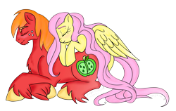 Size: 3205x2024 | Tagged: safe, artist:dragonfoxgirl, big macintosh, fluttershy, earth pony, pegasus, pony, fluttermac, goatee, male, shipping, simple background, sleeping, stallion, straight, transparent background, unshorn fetlocks