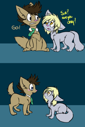 Size: 1024x1521 | Tagged: safe, artist:lonely-galaxies, derpy hooves, doctor whooves, cat, :o, blushing, comic, eye contact, floppy ears, gritted teeth, species swap, surprised, wide eyes