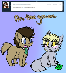 Size: 500x557 | Tagged: safe, artist:lonely-galaxies, derpy hooves, doctor whooves, cat, ask, ask derpy paws, catnip, species swap, tumblr