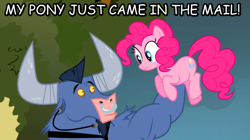 Size: 778x437 | Tagged: safe, edit, edited screencap, screencap, iron will, pinkie pie, earth pony, pony, putting your hoof down, image macro