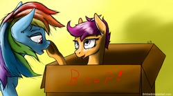 Size: 1302x726 | Tagged: safe, artist:tincantim, derpibooru import, rainbow dash, scootaloo, pegasus, pony, boop, box, pony in a box, underhoof