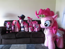 Size: 4608x3456 | Tagged: safe, artist:doublebackstitcharts, artist:eveningarwen, artist:magnastorm, artist:makeshiftwings30, artist:mylittleplushie, artist:o01101011, artist:wilshirewolf, pinkie pie, alicorn, earth pony, pony, accessories, bowtie, clothes, costume, dress, female, gala dress, hat, irl, mare, multeity, photo, pinkiecorn, plushie, race swap, saloon dress, saloon pinkie, sofa, too much pink energy is dangerous, top hat, tuxedo