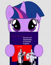 Size: 625x790 | Tagged: artist needed, source needed, safe, derpibooru import, twilight sparkle, book, filly, programming, read, solo, structure and interpretation of computer programs