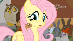 Size: 1440x810 | Tagged: safe, screencap, fluttershy, bird, chicken, mouse, owl, pegasus, pony, rabbit, squirrel, princess twilight sparkle (episode), animal, female, mare, scared, worried