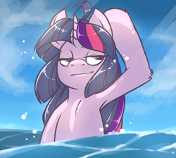 Size: 1900x1700 | Tagged: safe, artist:emcee-ironchef, derpibooru import, twilight sparkle, chest fluff, water, wet, wet mane