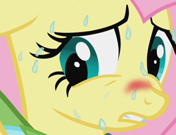 Size: 497x382 | Tagged: safe, screencap, fluttershy, pegasus, pony, the best night ever, blushing, if you know what i mean, out of context, solo