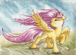 Size: 1024x750 | Tagged: safe, artist:the-wizard-of-art, fluttershy, pegasus, pony, flower, grass, hooves, solo, traditional art, unshorn fetlocks, watercolor painting, windswept mane