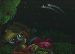 Size: 1230x894 | Tagged: safe, artist:getchanoodlewet, apple bloom, applejack, earth pony, pony, night, shooting star, sleeping, traditional art