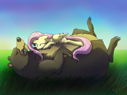 Size: 2781x2071 | Tagged: safe, artist:dawnmistpony, fluttershy, harry, bear, pegasus, pony, cute, shyabetes, sleeping