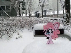 Size: 1024x768 | Tagged: safe, artist:danadyu, pinkie pie, earth pony, pony, jumped-out-pinkieanswers, paper pony, photo, solo