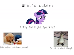 Size: 2048x1536 | Tagged: safe, derpibooru import, twilight sparkle, dog, duck, bronybait, cute, duckling, filly, golden retriever, irl dog, meta, puppy, question