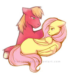 Size: 397x433 | Tagged: safe, artist:iceheartcell, big macintosh, fluttershy, earth pony, pegasus, pony, back, floppy ears, fluttermac, male, on side, shipping, stallion, straight