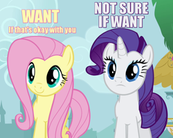 Size: 900x720 | Tagged: safe, fluttershy, rarity, pegasus, pony, unicorn, princess twilight sparkle (episode), caption, if that's okay with you, image macro, not sure if want, varying degrees of want, want