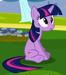 Size: 732x820 | Tagged: safe, derpibooru import, screencap, twilight sparkle, unicorn twilight, pony, unicorn, hurricane fluttershy, cropped, cute, sitting, solo