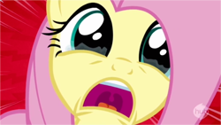 Size: 750x422 | Tagged: safe, screencap, fluttershy, pegasus, pony, castle mane-ia, crying, cute, female, fluttercry, hub logo, hubble, mare, open mouth, screaming, shocked, shyabetes, solo, speed lines