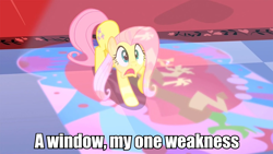 Size: 960x540 | Tagged: safe, edit, edited screencap, screencap, fluttershy, pegasus, pony, the return of harmony, caption, image macro, solo