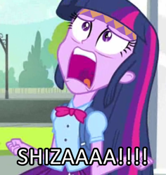 Size: 716x758 | Tagged: safe, derpibooru import, edit, edited screencap, screencap, twilight sparkle, equestria girls, equestria girls (movie), caption, cropped, exploitable meme, image macro, jojo's bizarre adventure, joseph joestar, meme, solo, twiscream