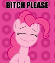 Size: 228x261 | Tagged: safe, pinkie pie, earth pony, pony, bitch please, caption, solo, vulgar