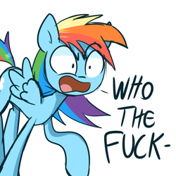 Size: 1280x1280 | Tagged: safe, artist:lilboulder, derpibooru import, rainbow dash, pegasus, pony, angry, female, mare, open mouth, reaction image, simple background, solo, vulgar, white background