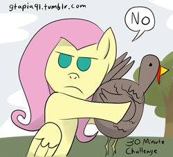 Size: 500x455 | Tagged: safe, artist:gtapia91, fluttershy, pegasus, pony, 30 minute art challenge, female, mare, turkey