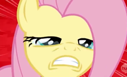 Size: 1464x896 | Tagged: safe, screencap, fluttershy, pegasus, pony, castle mane-ia, crying, solo, yelling