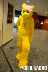 Size: 3456x5184 | Tagged: safe, fluttershy, human, cosplay, irl, irl human, photo, solo