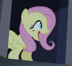 Size: 618x569 | Tagged: safe, screencap, fluttershy, pegasus, pony, castle mane-ia, happy, solo