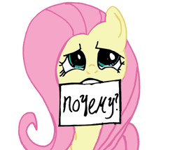 Size: 588x506 | Tagged: safe, artist:nahmala, fluttershy, pegasus, pony, flutterwhy, mouth hold, note, russian, solo