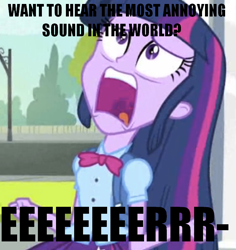 Size: 716x758 | Tagged: safe, derpibooru import, edit, edited screencap, screencap, twilight sparkle, equestria girls, equestria girls (movie), cropped, dumb and dumber, exploitable meme, most annoying sound in the world, solo, twiscream