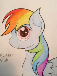 Size: 2948x3941 | Tagged: safe, artist:mlp-melodymark, derpibooru import, rainbow dash, pegasus, pony, blue coat, female, mare, multicolored mane, simple background, solo, white background, wings