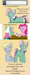 Size: 600x1481 | Tagged: safe, artist:kourabiedes, derpy hooves, fizzy, pinkie pie, pegasus, pony, g1, ask, ask fizzy, comic, female, mare, tumblr