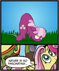 Size: 500x600 | Tagged: safe, cheerilee, fluttershy, pegasus, pony, blue coat, blue eyes, dialogue, exploitable meme, female, inchworm, looking up, mare, meme, multicolored tail, nature is so fascinating, obligatory pony, pink coat, pink mane, smiling, speech bubble, wings, worm pony, yellow coat