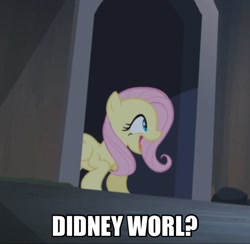 Size: 1494x1458 | Tagged: safe, fluttershy, pegasus, pony, castle mane-ia, didney worl, image macro, meme, solo