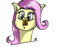 Size: 1019x784 | Tagged: safe, artist:globalpredatorx, fluttershy, pegasus, pony, female, mare, pink mane, solo, yellow coat