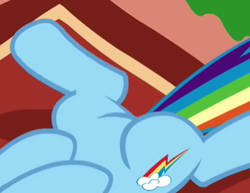 Size: 366x282 | Tagged: safe, derpibooru import, screencap, rainbow dash, pegasus, pony, dragon quest, cropped, legs, pictures of legs