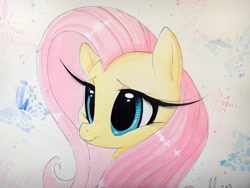Size: 1280x960 | Tagged: safe, artist:prettypinkpony, fluttershy, pegasus, pony, bust, portrait, solo, traditional art