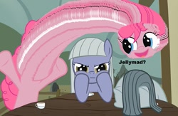 Size: 547x356 | Tagged: safe, limestone pie, marble pie, pinkie pie, earth pony, pony, troll, angry, are you frustrated?, faic, jelly, nope.avi, not salmon, pie sisters, wat