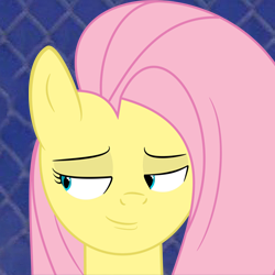 Size: 250x250 | Tagged: safe, fluttershy, pegasus, pony, female, george costanza, ishygddt, mare, solo