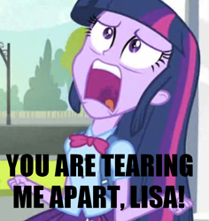 Size: 716x758 | Tagged: safe, derpibooru import, edit, edited screencap, screencap, twilight sparkle, equestria girls, equestria girls (movie), cropped, exploitable meme, solo, the room, twiscream, you're tearing me apart lisa