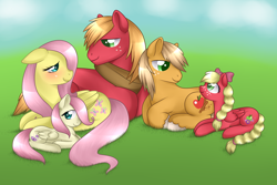 Size: 1024x683 | Tagged: safe, artist:kitsunewolf95, big macintosh, fluttershy, oc, earth pony, pegasus, pony, fluttermac, male, offspring, parent:big macintosh, parent:fluttershy, parents:fluttermac, shipping, stallion, straight