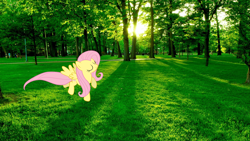 Size: 2560x1440 | Tagged: safe, fluttershy, flying, grass, irl, park, photo, ponies in real life, solo, tree, wallpaper