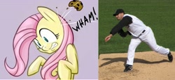 Size: 3415x1577 | Tagged: safe, artist:hobbes-maxwell, edit, fluttershy, pegasus, pony, baseball, cookie, flutterbuse, lowres, throwing things at fluttershy