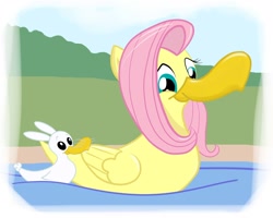 Size: 1910x1526 | Tagged: safe, artist:mistergi, angel bunny, fluttershy, duck, cute, duo, flutterduck, op, pond, species swap, water